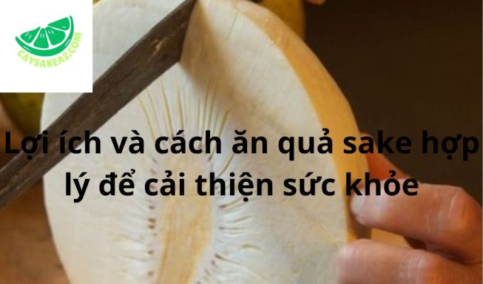 Lợi ích và cách ăn quả sake hợp lý để cải thiện sức khỏe