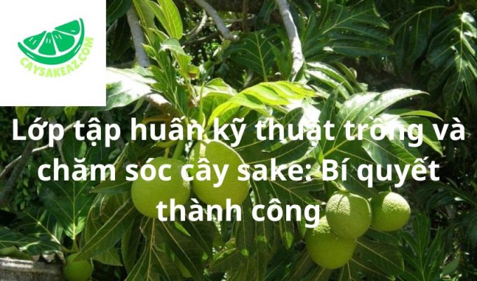 Lớp tập huấn kỹ thuật trồng và chăm sóc cây sake: Bí quyết thành công