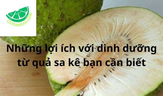 Những lợi ích với dinh dưỡng từ quả sa kê bạn cần biết