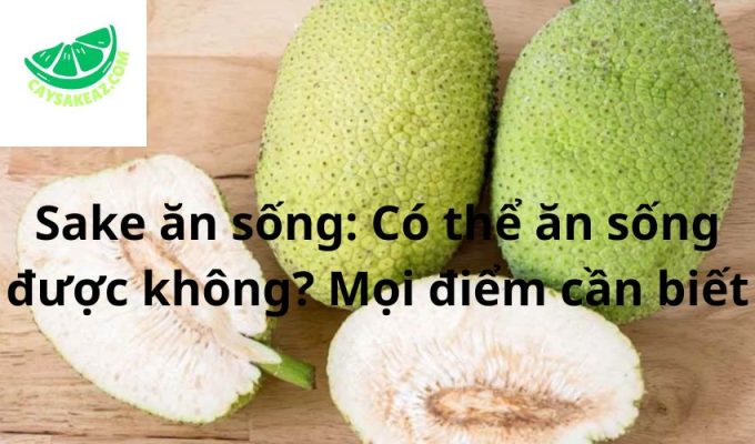 Sake ăn sống: Có thể ăn sống được không? Mọi điểm cần biết