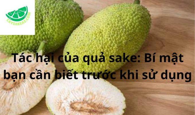 Tác hại của quả sake: Bí mật bạn cần biết trước khi sử dụng