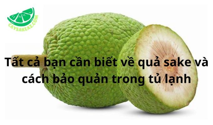 Tất cả bạn cần biết về quả sake và cách bảo quản trong tủ lạnh