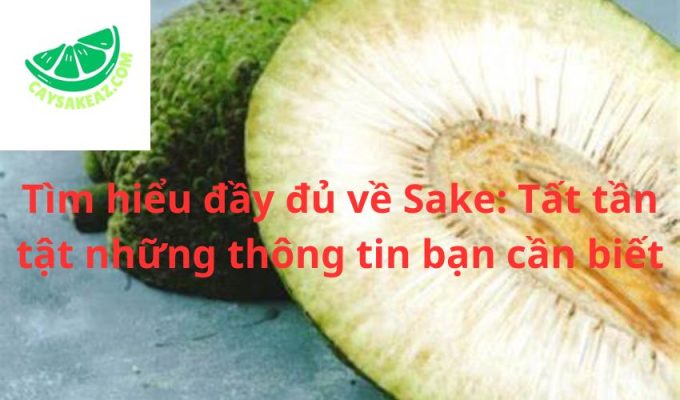 Tìm hiểu đầy đủ về Sake: Tất tần tật những thông tin bạn cần biết